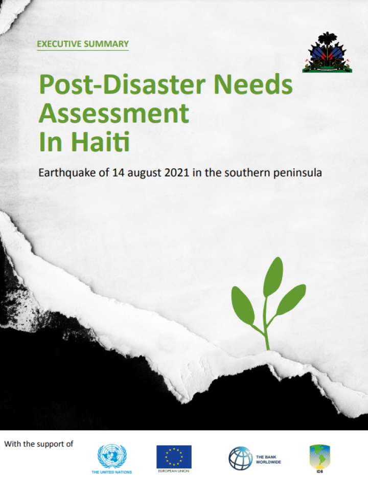 haiti earthquake 2021 essay